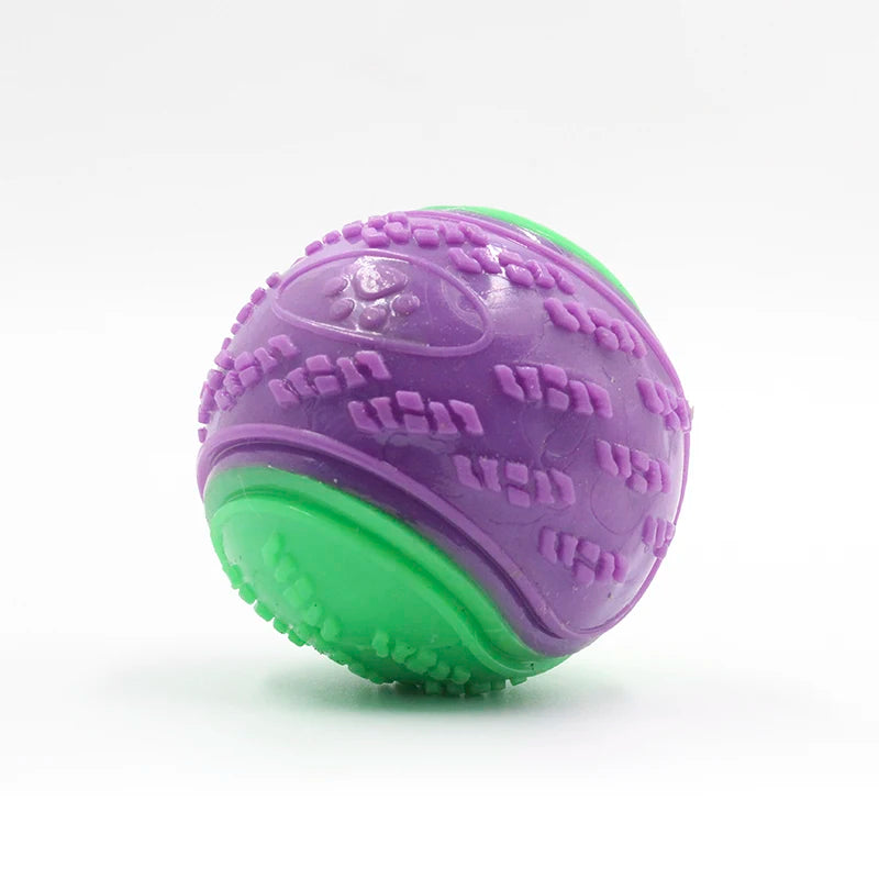 Squeaky Dog Ball Toy – TPR Teeth Cleaning & Interactive Chew Toy for Dogs