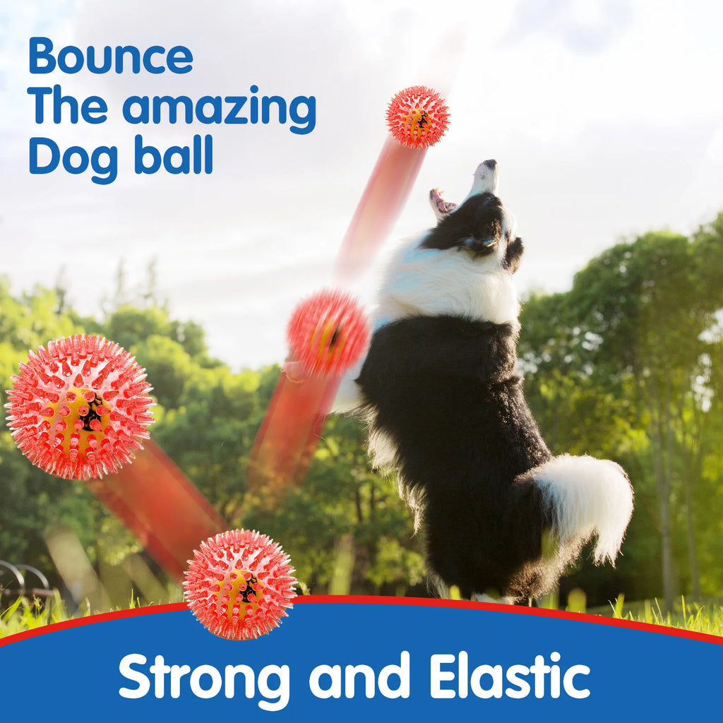 Spiky Rubber Tennis Ball Dog Toy – Squeaky Chew & Grind Toy for All Dog Sizes