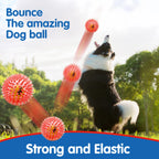 Spiky Rubber Tennis Ball Dog Toy – Squeaky Chew & Grind Toy for All Dog Sizes