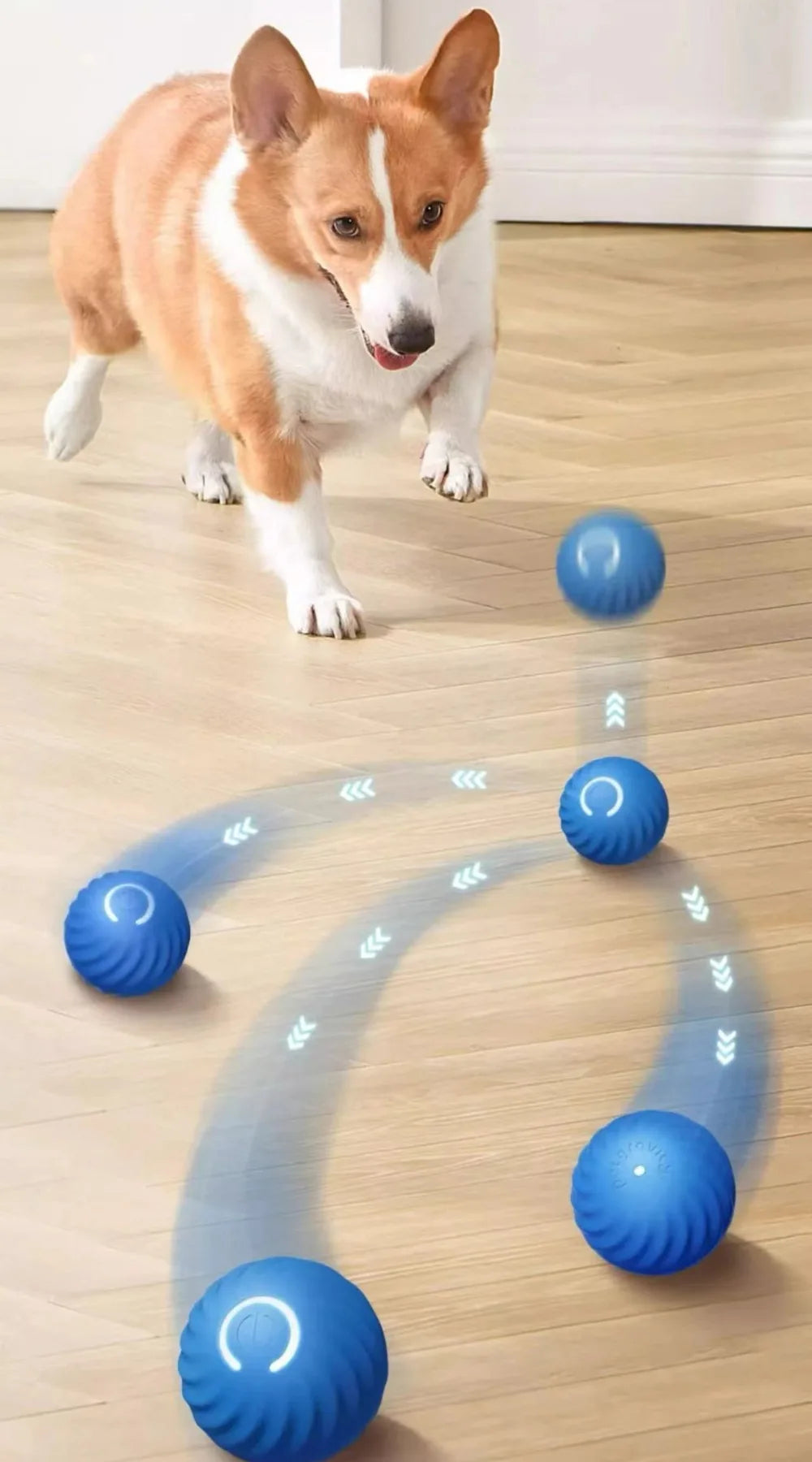 Smart Automatic Moving Dog Ball – USB Rechargeable Interactive Self-Rolling Toy