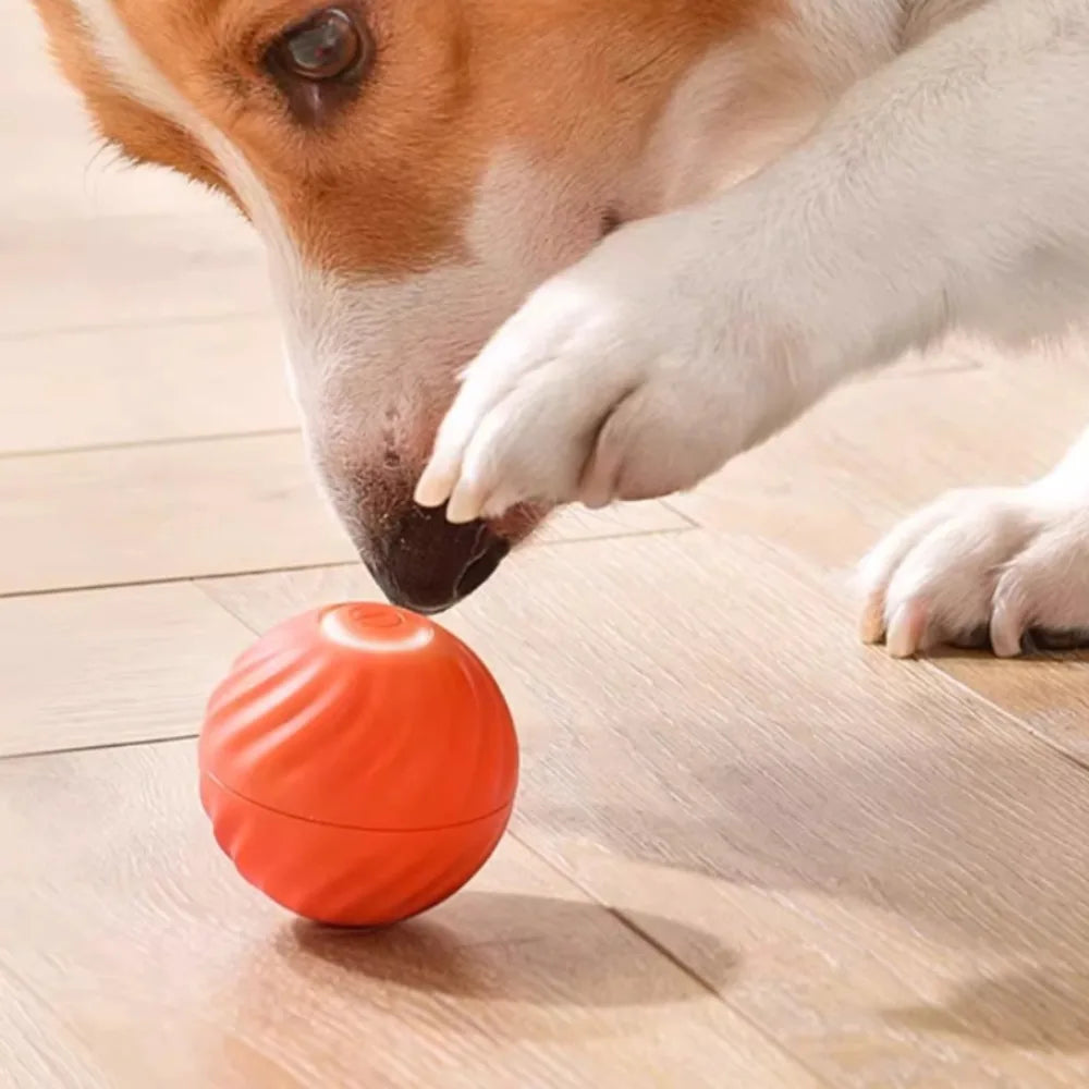 Smart Automatic Moving Dog Ball – USB Rechargeable Interactive Self-Rolling Toy