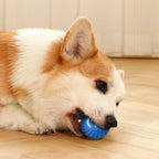 Smart Automatic Moving Dog Ball – USB Rechargeable Interactive Self-Rolling Toy