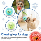 Spiky Rubber Tennis Ball Dog Toy – Squeaky Chew & Grind Toy for All Dog Sizes