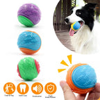 Squeaky Dog Ball Toy – TPR Teeth Cleaning & Interactive Chew Toy for Dogs