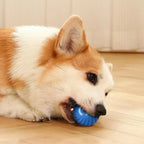 Smart Automatic Moving Dog Ball – USB Rechargeable Interactive Self-Rolling Toy