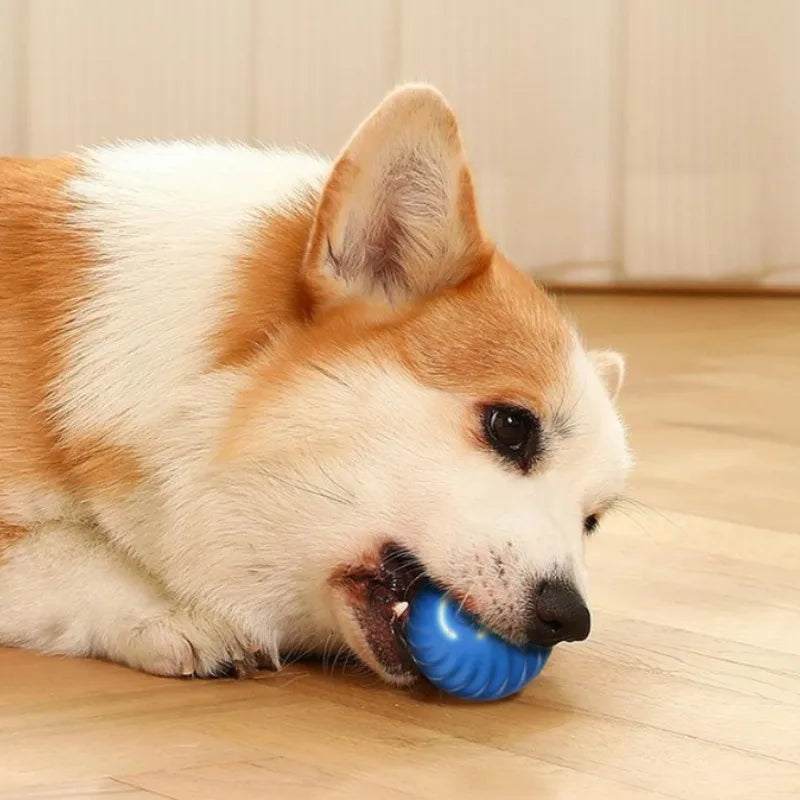 Smart Automatic Moving Dog Ball – USB Rechargeable Interactive Self-Rolling Toy
