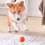 Smart Automatic Moving Dog Ball – USB Rechargeable Interactive Self-Rolling Toy