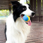 Squeaky Dog Ball Toy – TPR Teeth Cleaning & Interactive Chew Toy for Dogs