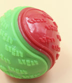 Squeaky Dog Ball Toy – TPR Teeth Cleaning & Interactive Chew Toy for Dogs