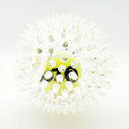 Spiky Rubber Tennis Ball Dog Toy – Squeaky Chew & Grind Toy for All Dog Sizes