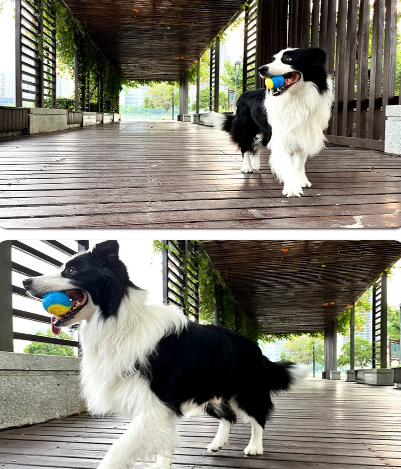 Squeaky Dog Ball Toy – TPR Teeth Cleaning & Interactive Chew Toy for Dogs