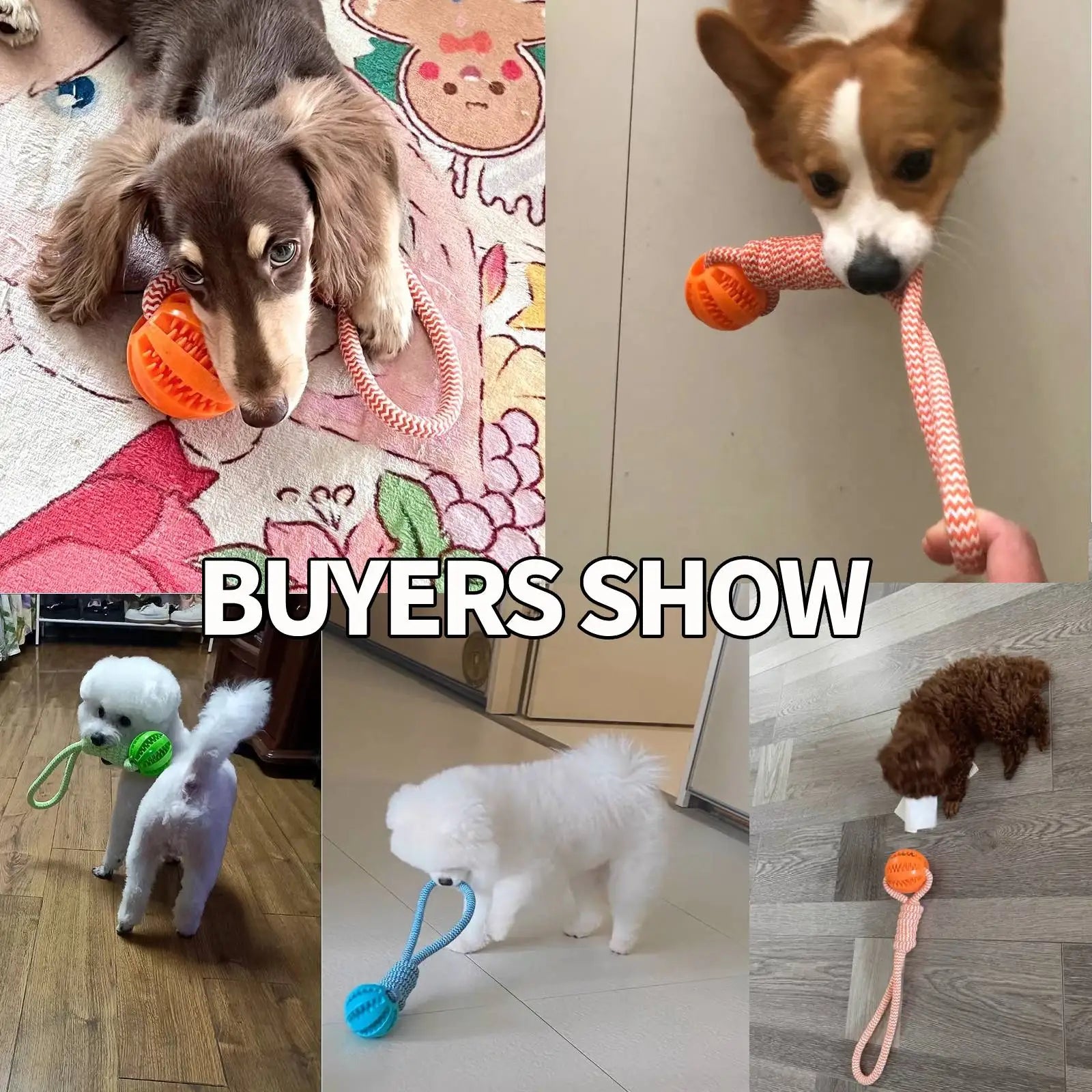 Cotton Rope Dog Toy – Treat-Dispensing Teeth Cleaning & Training Ball