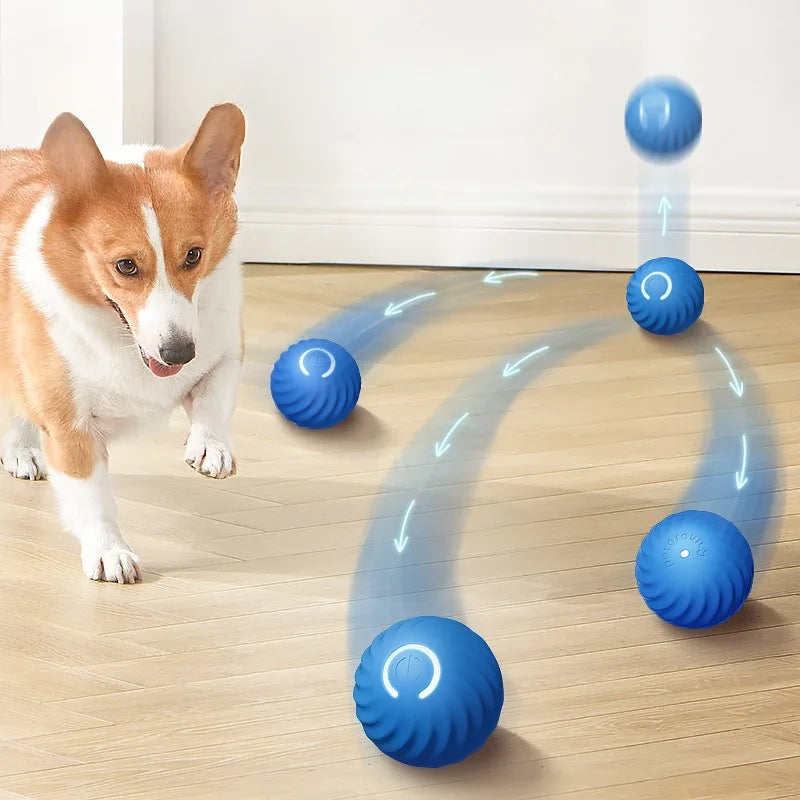 Smart Automatic Moving Dog Ball – USB Rechargeable Interactive Self-Rolling Toy