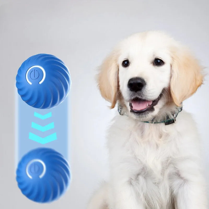 Smart Automatic Moving Dog Ball – USB Rechargeable Interactive Self-Rolling Toy