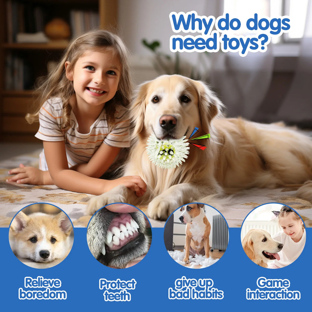 Spiky Rubber Tennis Ball Dog Toy – Squeaky Chew & Grind Toy for All Dog Sizes