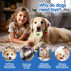 Spiky Rubber Tennis Ball Dog Toy – Squeaky Chew & Grind Toy for All Dog Sizes