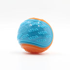 Squeaky Dog Ball Toy – TPR Teeth Cleaning & Interactive Chew Toy for Dogs