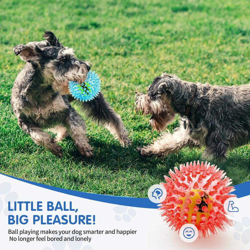 Spiky Rubber Tennis Ball Dog Toy – Squeaky Chew & Grind Toy for All Dog Sizes